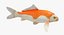3D model harivake koi fish rigged