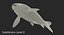3D model harivake koi fish rigged