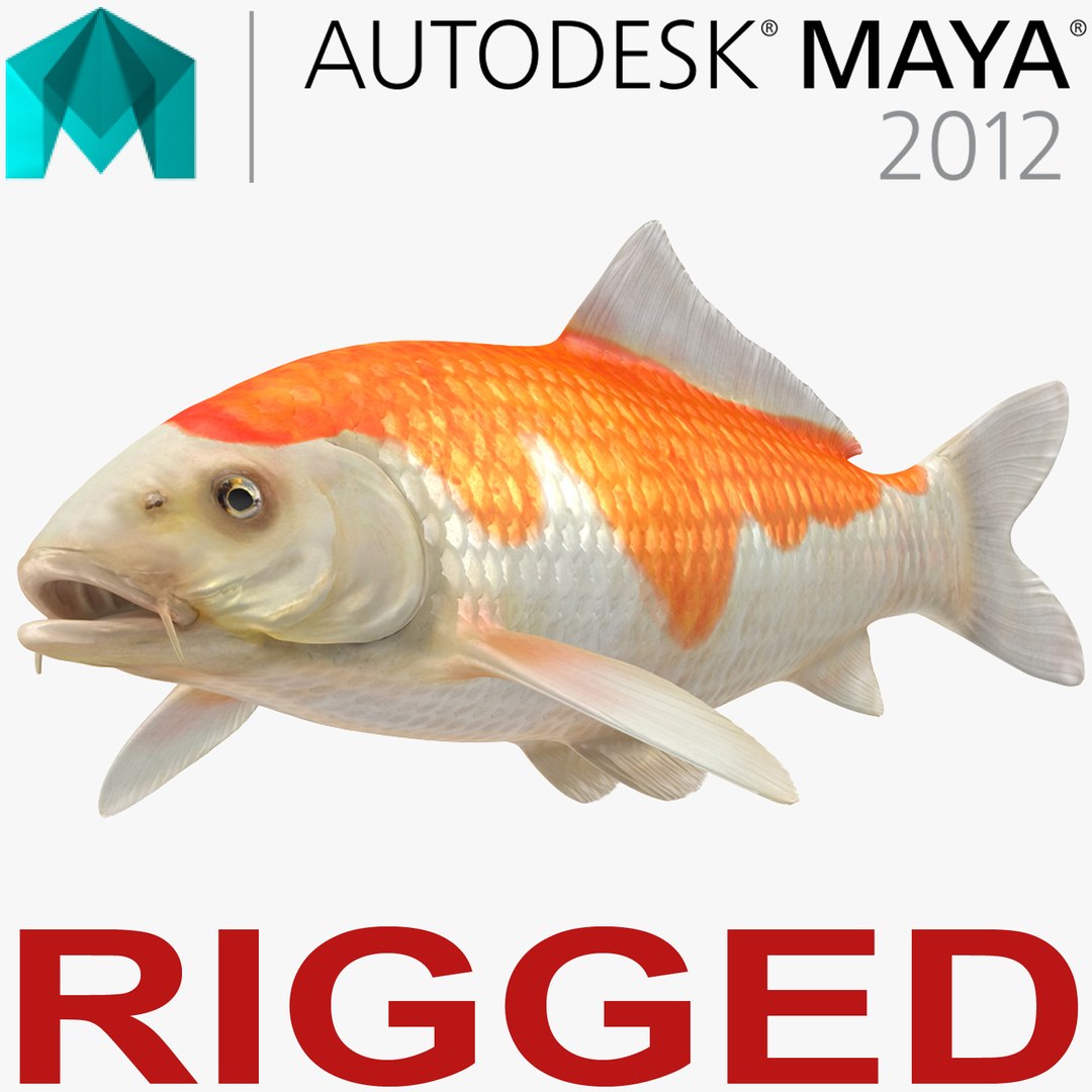 Harivake Koi Fish Rigged for Maya 3D model preview
