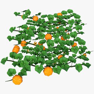 pumpkin plant 3D model