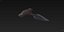 Push Dagger