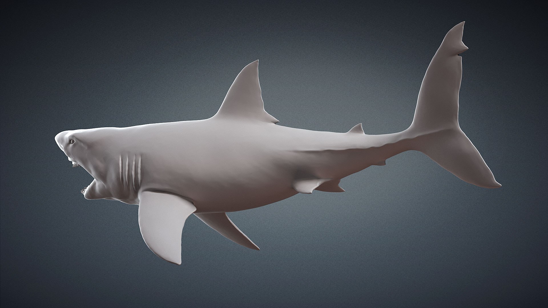 Great White Shark Attack 3D Model - TurboSquid 1713259