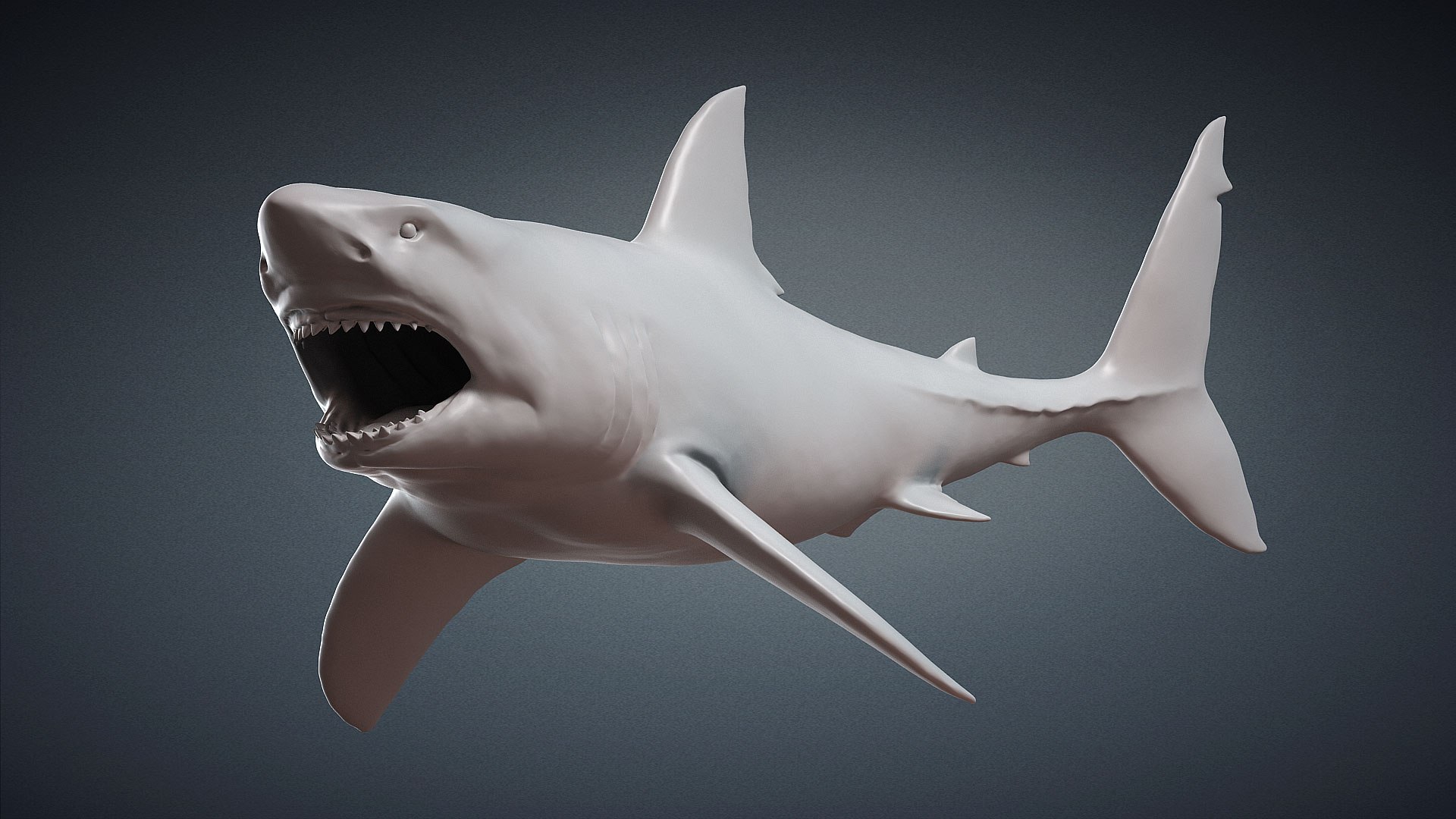 Great White Shark Attack 3D Model - TurboSquid 1713259