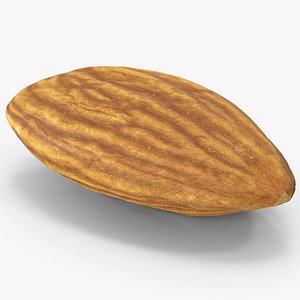 3D Almond Nut