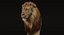 3d ma lion fur animation
