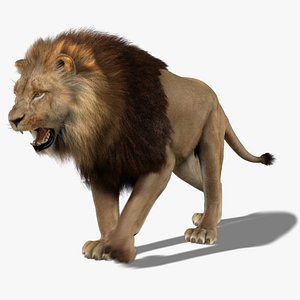 Lion 2 Animated Fur