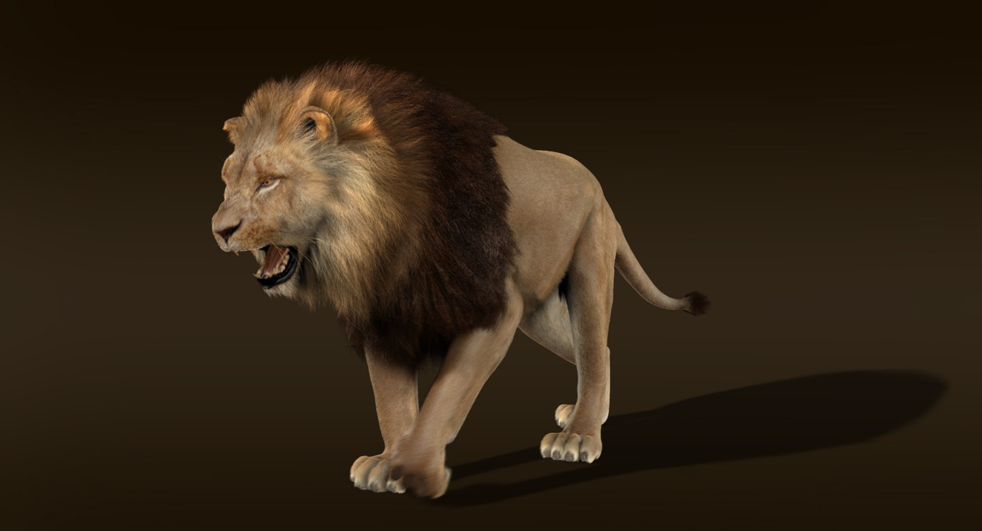 3d ma lion fur animation https://p.turbosquid.com/ts-thumb/ih/qvdu1i/WJjn25V1/main1480a/jpg/1445488930/1920x1080/fit_q87/117a3de382536bf203fc0a11371cd47d30cbfca2/main1480a.jpg