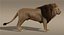 3d ma lion fur animation