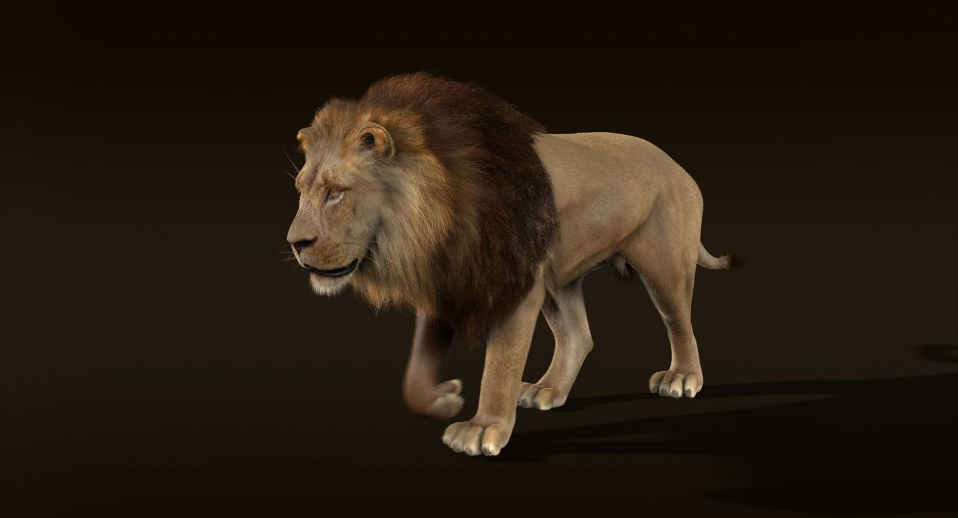 3d Ma Lion Fur Animation