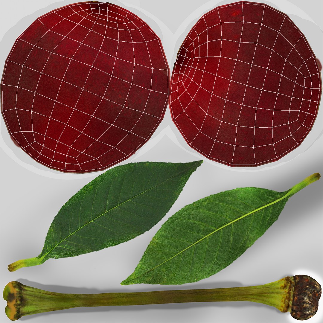 3D cherry fruit https://p.turbosquid.com/ts-thumb/ih/rSwC8w/Okcmwwpe/cherryfruitvray3dmodel007/jpg/1504857846/1920x1080/fit_q87/7a69b61ed9e3279d4c6013d7170458a153fb591e/cherryfruitvray3dmodel007.jpg