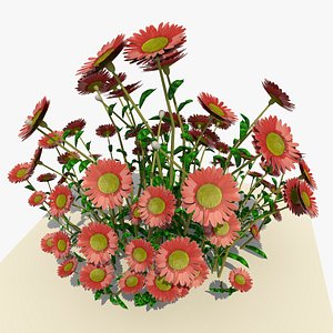 3d pink daisy flowers
