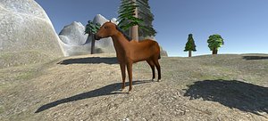 horse model