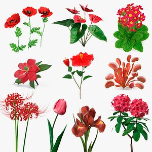 Red Flowering Plants Collection 8