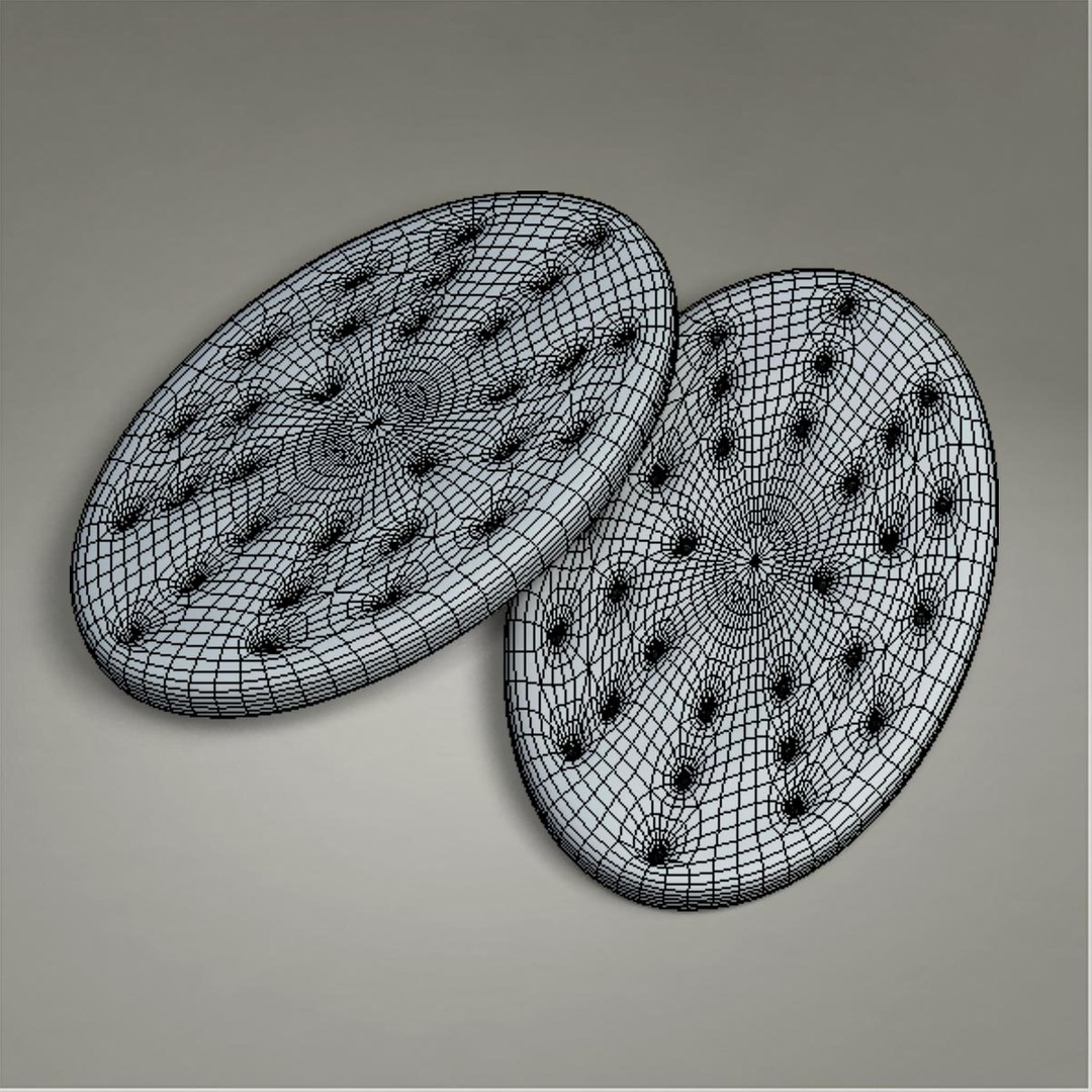 3dsmax biscuit https://p.turbosquid.com/ts-thumb/ij/CGcQfp/aMuGoKA5/x2/jpg/1395716349/1920x1080/fit_q87/fc8f579b46ba54bc95b07aa8908f850499618070/x2.jpg