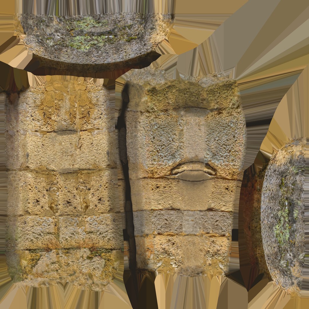 3D Medieval French Door Photogrammetry Based 3d Model Low-poly 3D Model ...
