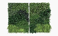 Vertical GreenWall 1 - Potus - Philodendron - Chlorophytum - Monstera