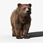 Fur bearing. Бурый медведь 3d модель. Мех медведя. Мех бурого медведя. Шерсть медведя.