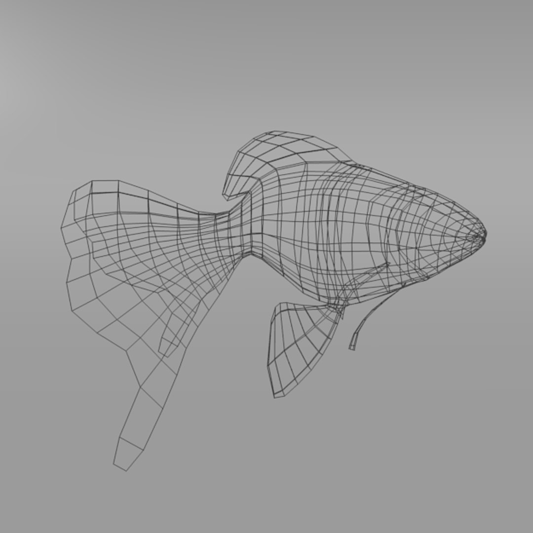 goldfish 3D model https://p.turbosquid.com/ts-thumb/ij/bnGaIe/YmazBVZQ/goldenfish_side_realistic_wire/png/1534009715/1920x1080/fit_q87/dfa636a8c7b9b2eb0d65c9658b9e6409e37c10ba/goldenfish_side_realistic_wire.jpg