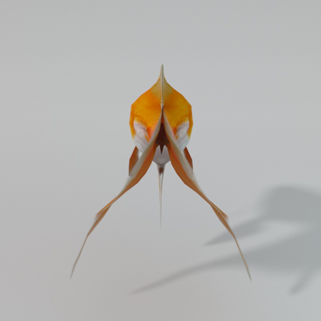 goldfish 3D model https://p.turbosquid.com/ts-thumb/ij/bnGaIe/eJiZNALQ/goldenfish_back_realistic/png/1534009715/1920x1080/fit_q87/8db7dd4009f9634df5f462f9b01558d39dcb124f/goldenfish_back_realistic.jpg