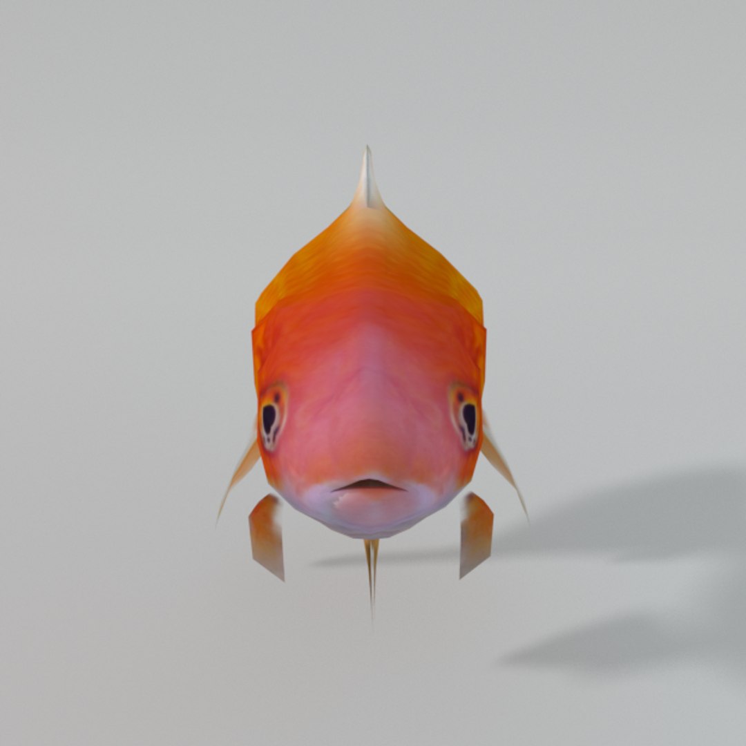 goldfish 3D model https://p.turbosquid.com/ts-thumb/ij/bnGaIe/sBRHL4RM/goldenfish_front_realistic/png/1534009715/1920x1080/fit_q87/d9d3af27f866e9d7312c5ec55638240155f3ae60/goldenfish_front_realistic.jpg