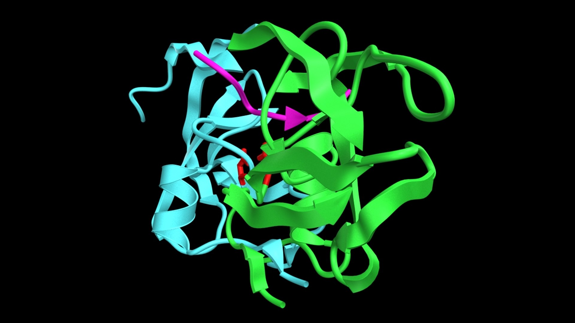 3d Model Protease Enzyme Protein