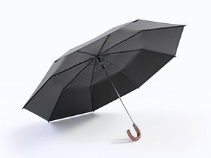 3D open umbrella model