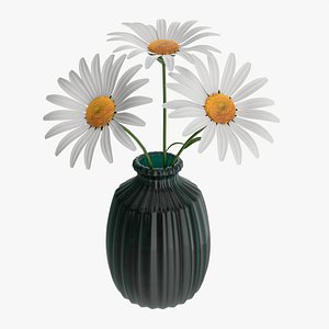 3D Vase with daisies