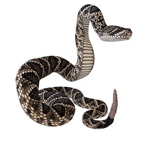 Animated Eastern Diamondback Rattlesnake