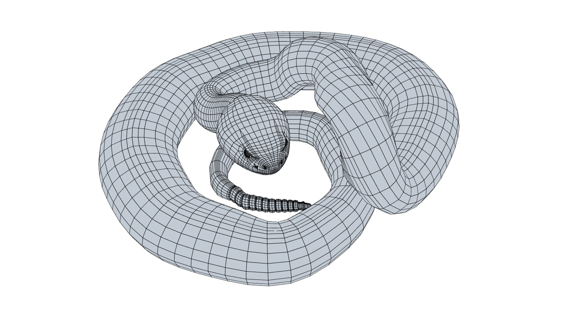 3D eastern diamondback rattlesnake animation model https://p.turbosquid.com/ts-thumb/ik/C1HjuQ/xGWEXCem/easterndiamondwire_006/jpg/1553983831/1920x1080/fit_q87/984bf5042b31868c740e1932517f123069326d5c/easterndiamondwire_006.jpg