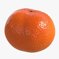 Low/High Poly Clementine(1)