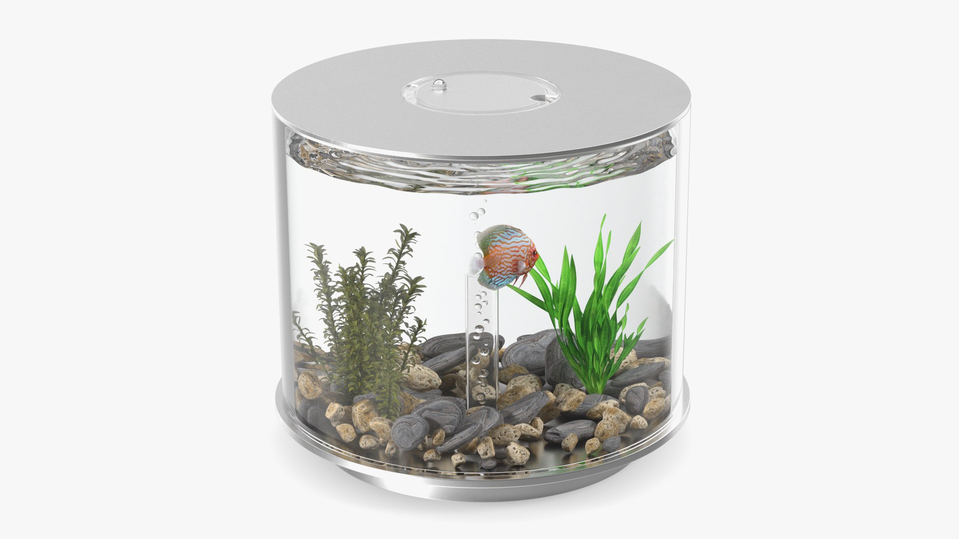 Chrome Cylinder Aquarium 3D model preview