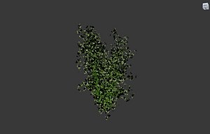 3d creepy plant model