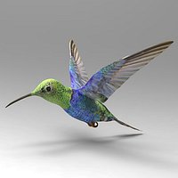 Kolibri