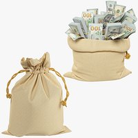 Money Bags Collection V19