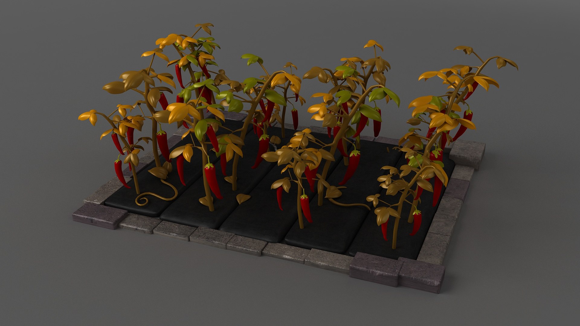 Hot Pepper Chili fields vegetable fields vegetables farmland vegetable ...