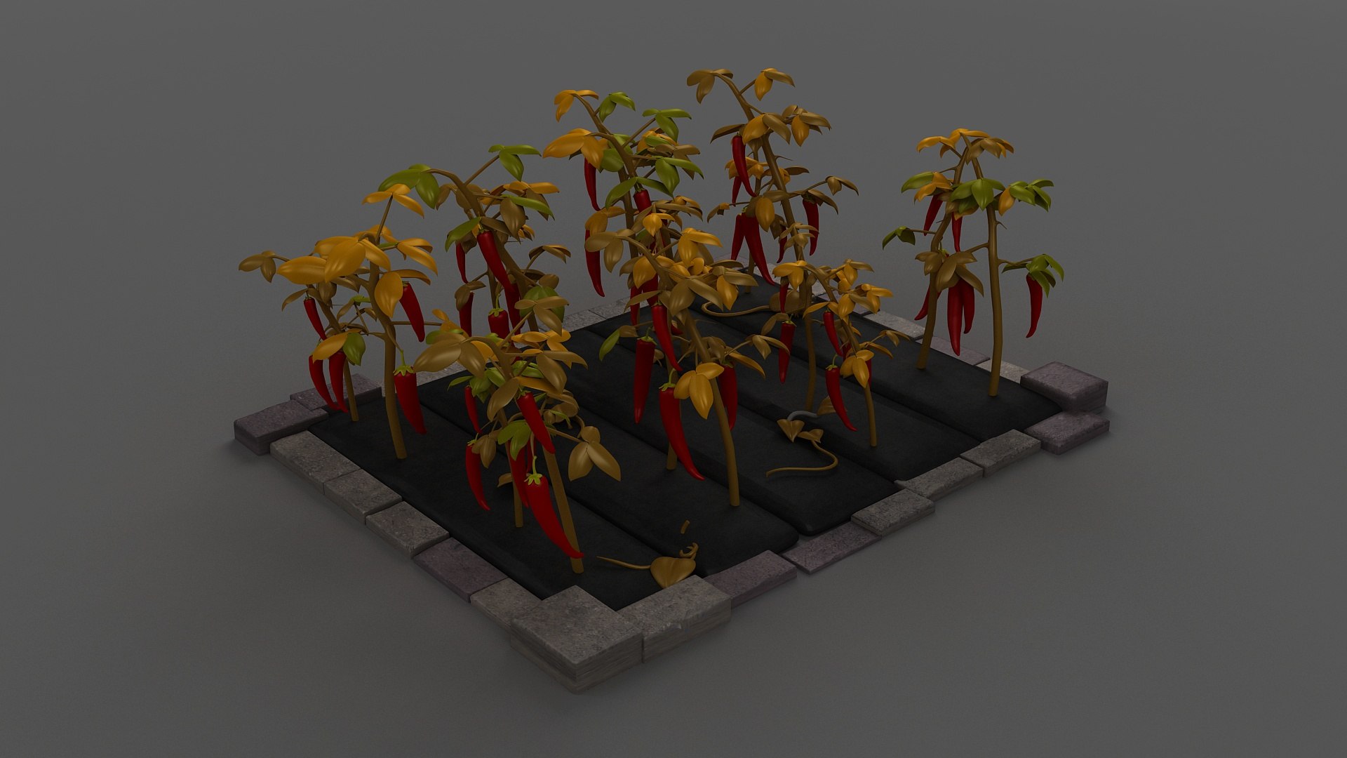 Hot Pepper Chili fields vegetable fields vegetables farmland vegetable ...
