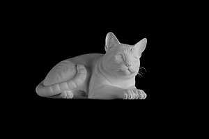 Cat Print Model Lying Down Relaxed Pose