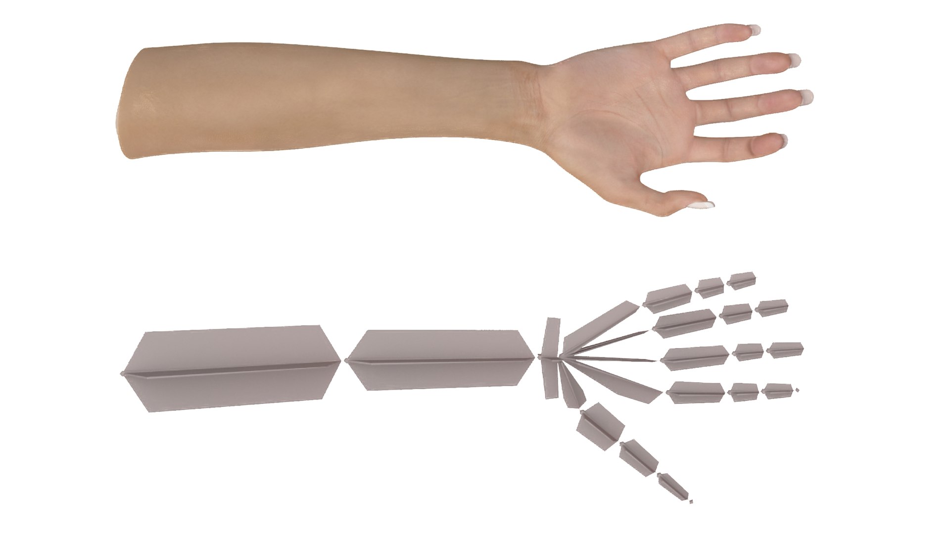 Woman Hand Rigged 3D model https://p.turbosquid.com/ts-thumb/ik/x2yTGs/16/womanhandriggedc4dmodel021/jpg/1705107726/1920x1080/fit_q87/01bf6d3de9498b7539ec3eb6317d3c79c0b8a4c6/womanhandriggedc4dmodel021.jpg