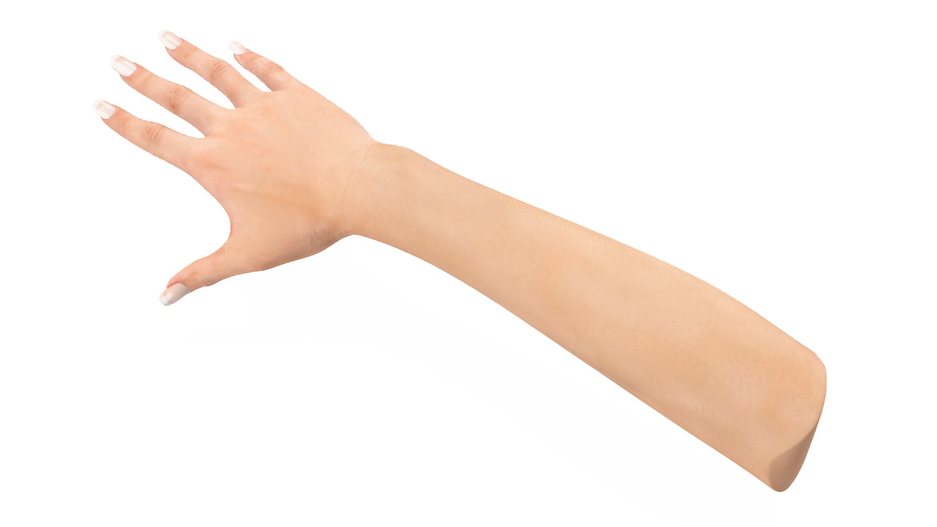 Woman Hand Rigged 3D model preview
