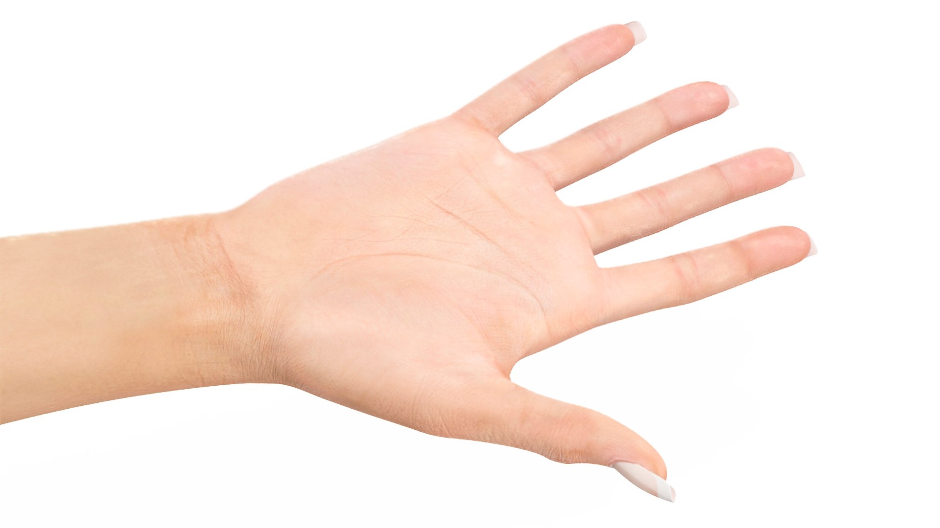 Woman Hand Rigged 3D model https://p.turbosquid.com/ts-thumb/ik/x2yTGs/sE/womanhandriggedc4dmodel009/jpg/1705107676/1920x1080/fit_q87/b59d538fe1a0f74e9a9d360bb8c456979854c06e/womanhandriggedc4dmodel009.jpg
