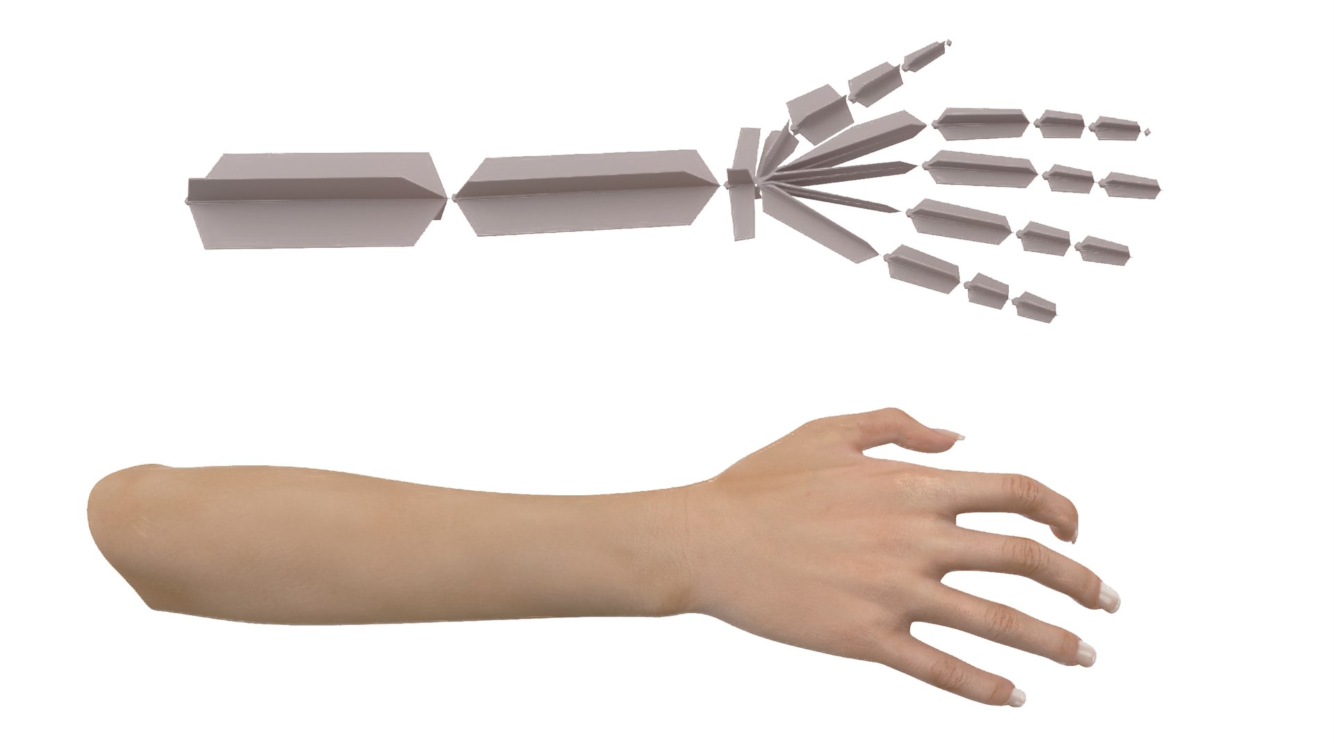 Woman Hand Rigged 3D model https://p.turbosquid.com/ts-thumb/ik/x2yTGs/to/womanhandriggedc4dmodel022/jpg/1705107731/1920x1080/fit_q87/0055435899d533e724e568881f9ad95ffa5045f6/womanhandriggedc4dmodel022.jpg