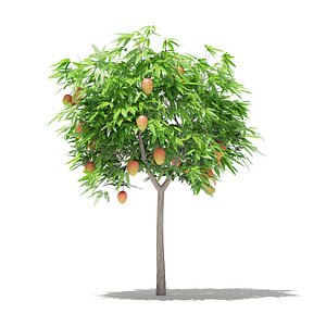 3D mango tree fruits 1