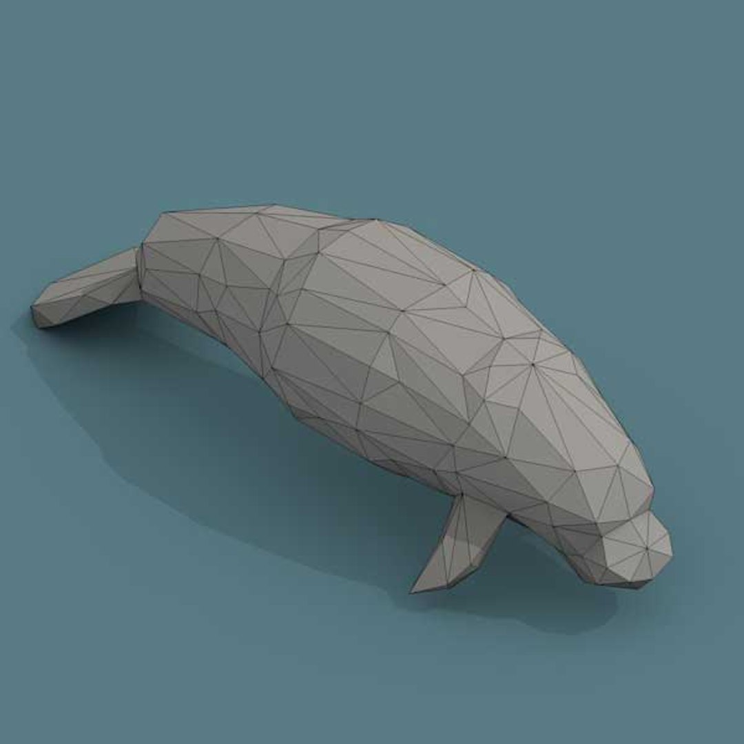 3D Low Poly Art Animals Isometric Icon Pack 06 Low-poly https://p.turbosquid.com/ts-thumb/il/OhPV3N/Hz/lowpoly3dmanateefront600x600/jpg/1626146706/1920x1080/fit_q87/c139407ee4b1444034698edcecf0b0ae615e5b6f/lowpoly3dmanateefront600x600.jpg