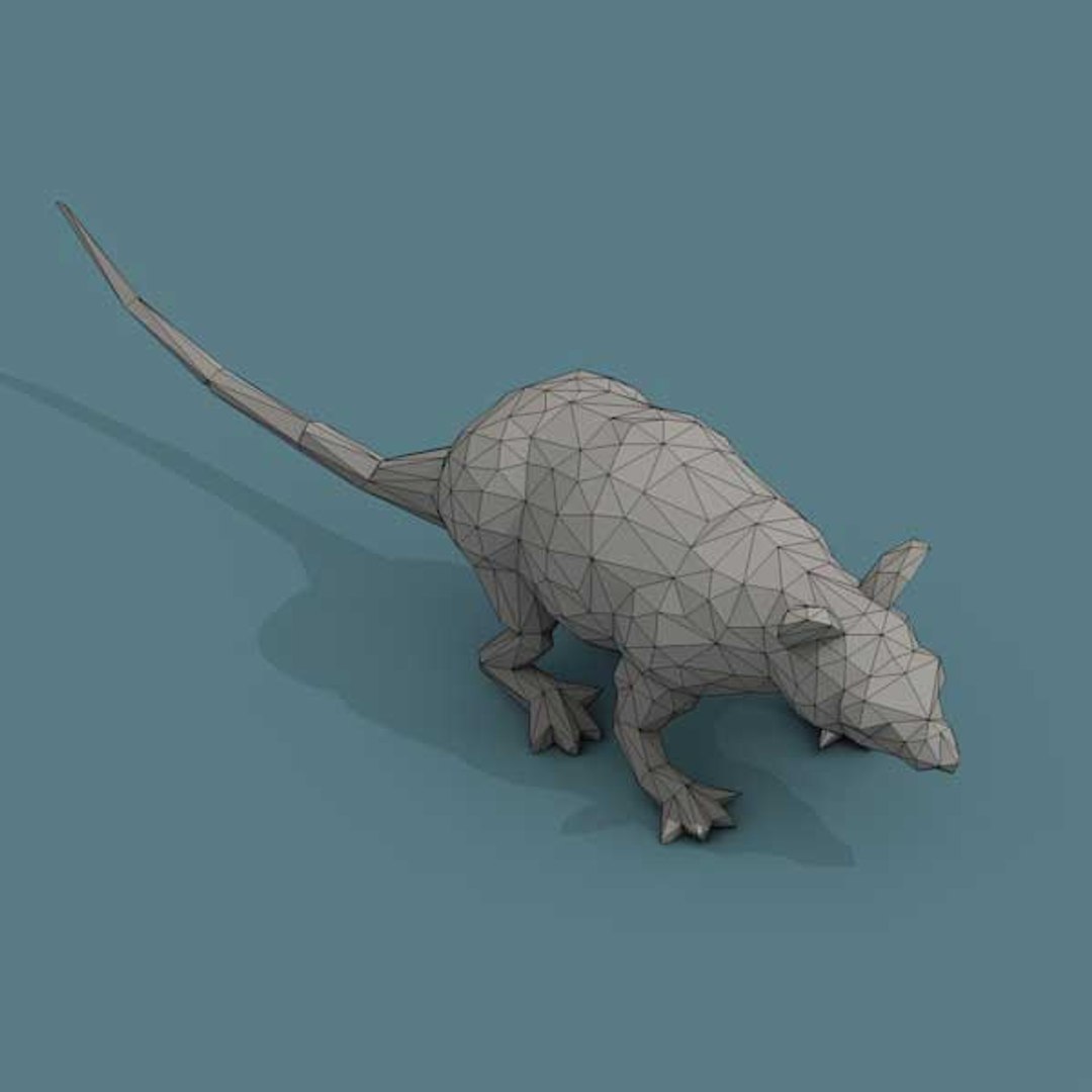 3D Low Poly Art Animals Isometric Icon Pack 06 Low-poly https://p.turbosquid.com/ts-thumb/il/OhPV3N/hk/lowpoly3dopossumfront600x600/jpg/1626146702/1920x1080/fit_q87/737e76646f7ef41f9a3094515bb000ab628a066d/lowpoly3dopossumfront600x600.jpg