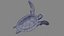 Sea Green Turtle 3D model