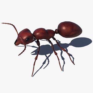 Red Ant 3D