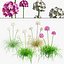 Weiße Thrift-Blumen 3D-Packung