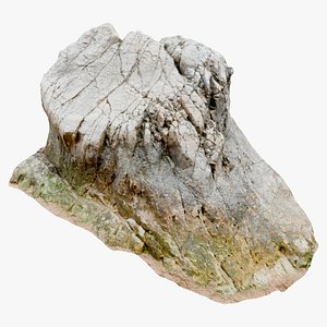 Rock Scan 16K 3D model