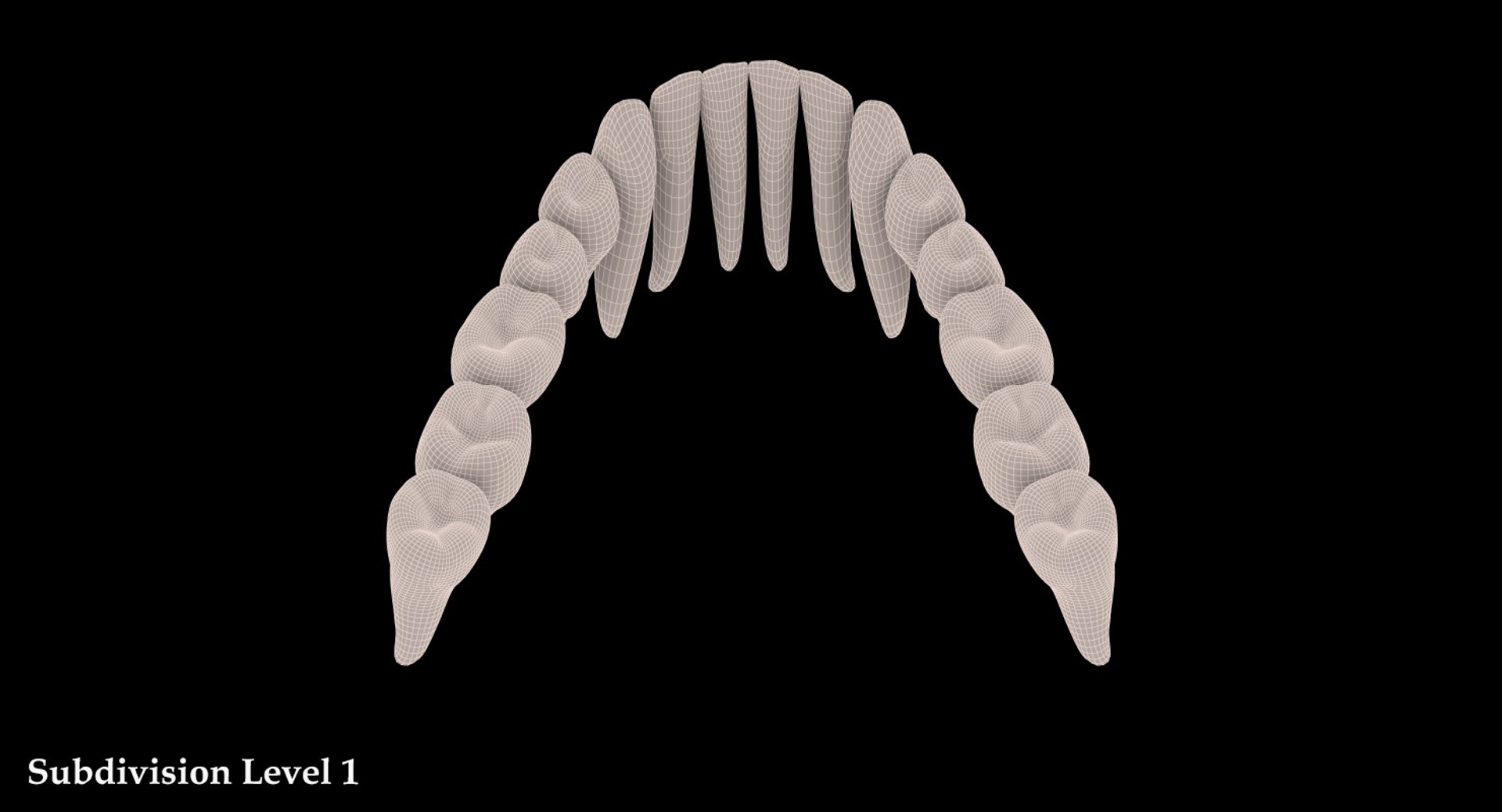 mouth realistic human model https://p.turbosquid.com/ts-thumb/il/rX5WOJ/ZAsX7h5Y/14_1/jpg/1492365543/1920x1080/fit_q87/23f1544a5aee9368bd343853ce873eec0f35237b/14_1.jpg