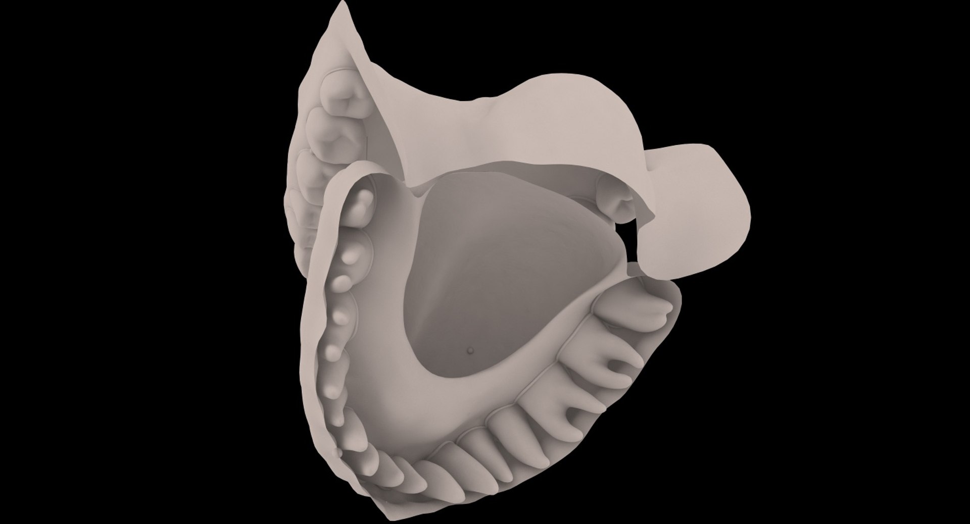 mouth realistic human model https://p.turbosquid.com/ts-thumb/il/rX5WOJ/bWKVvZrs/22/jpg/1492365543/1920x1080/fit_q87/a7c74ecd6d3c555adec7b5d3f26d59586fbad61d/22.jpg